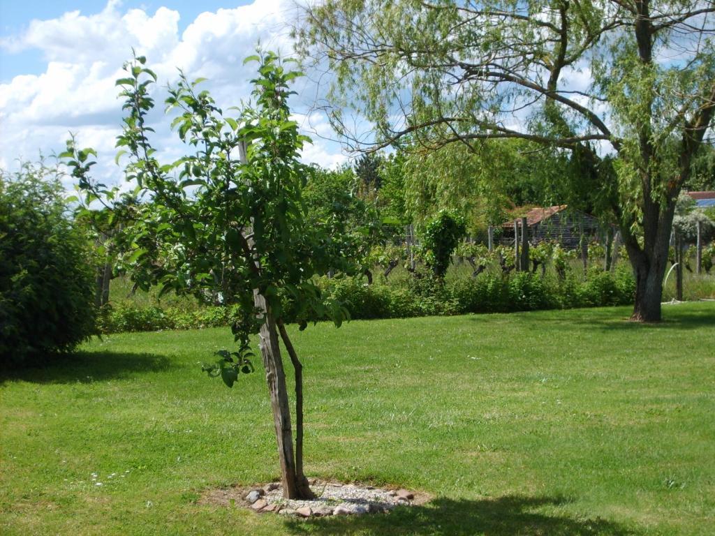 Bed and Breakfast Le Chalet des Vignes à Monbazillac Extérieur photo